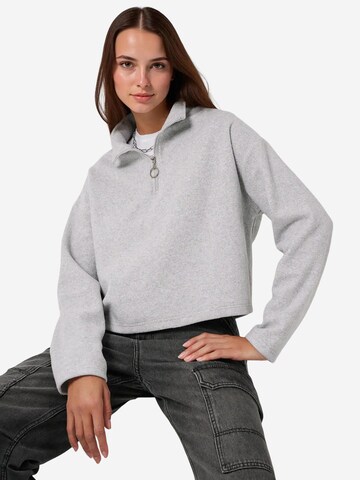 Bigdart Pullover in Grau