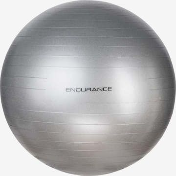 ENDURANCE Bal in Zilver: voorkant