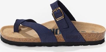 mėlyna Bayton Šlepetės per pirštą 'Diane': priekis