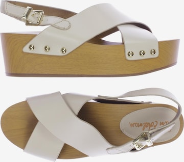 Sam Edelman Sandals & High-Heeled Sandals in 41 in White: front