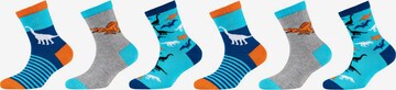 SKECHERS Socken in Blau: predná strana