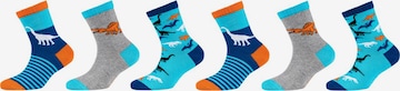 SKECHERS Socks in Blue: front