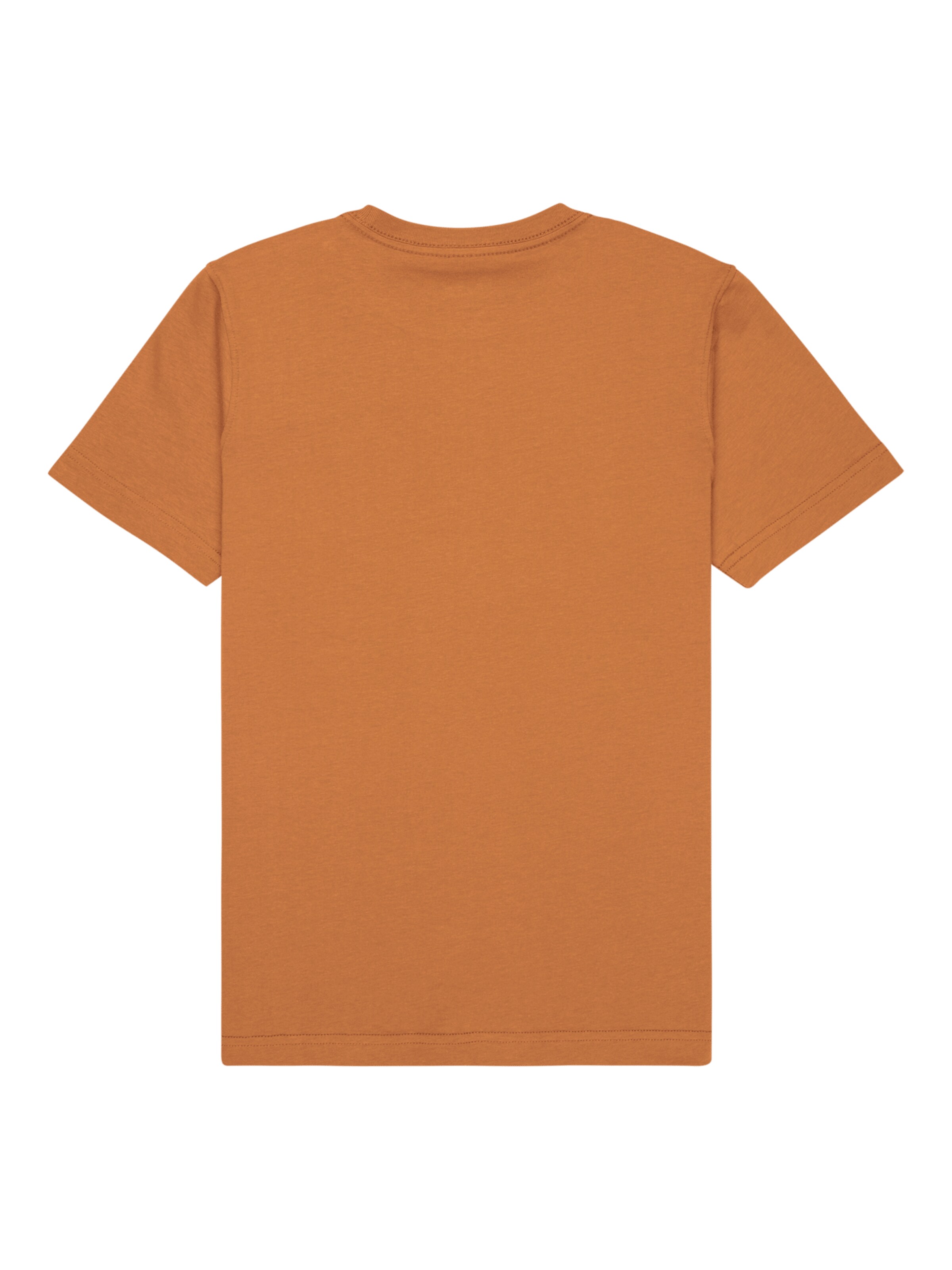 QUIKSILVER Shirt in Brown