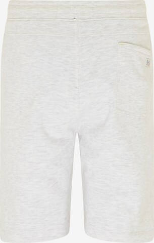 Petrol Industries Regular Pants in Grey