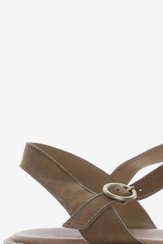 Marc O'Polo Sandals & High-Heeled Sandals in 42 in Brown