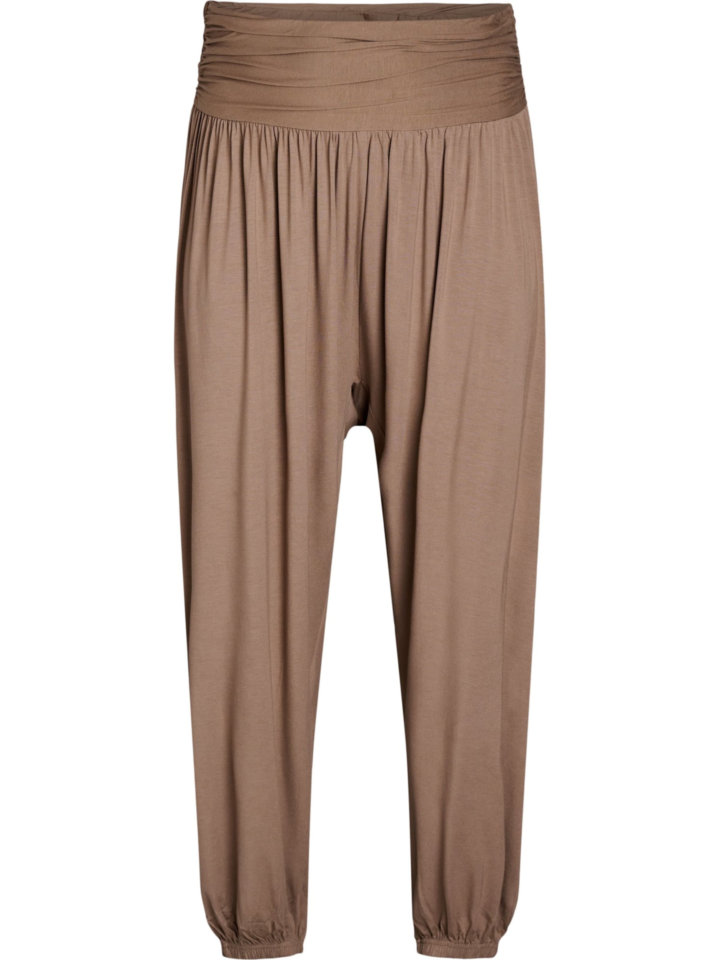 Zizzi Tapered Haremsbukser 'Emynte' i brun: forside