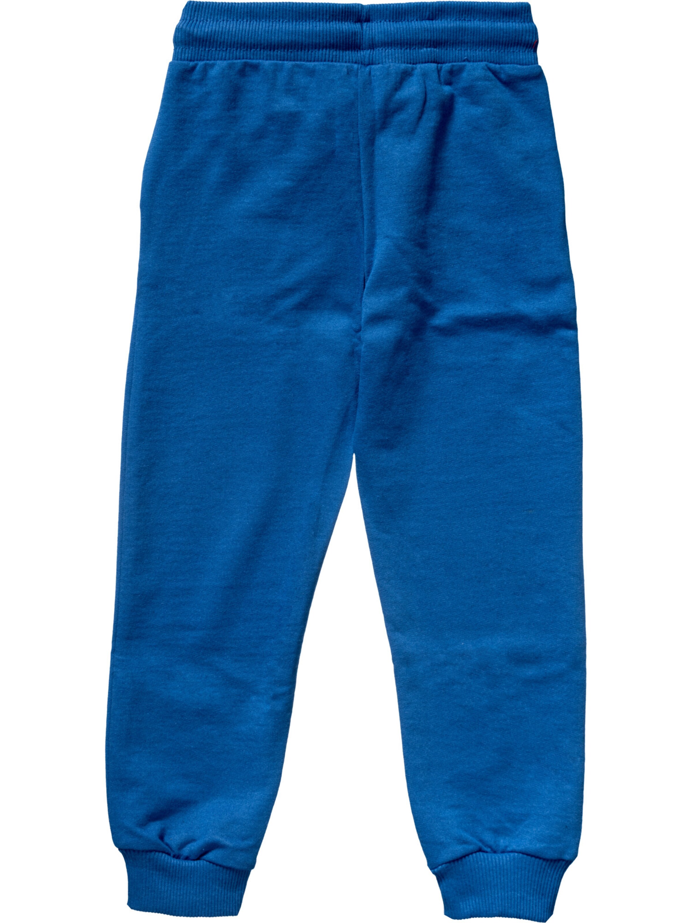 SPIDERMAN Tapered Pants in Blue