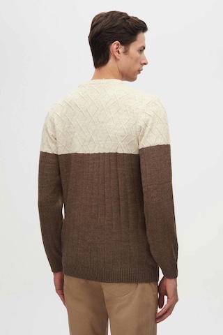 D’S Damat Pullover in Braun