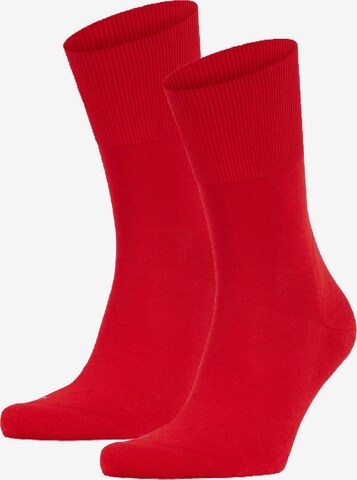 FALKE Athletic Socks in Red: front