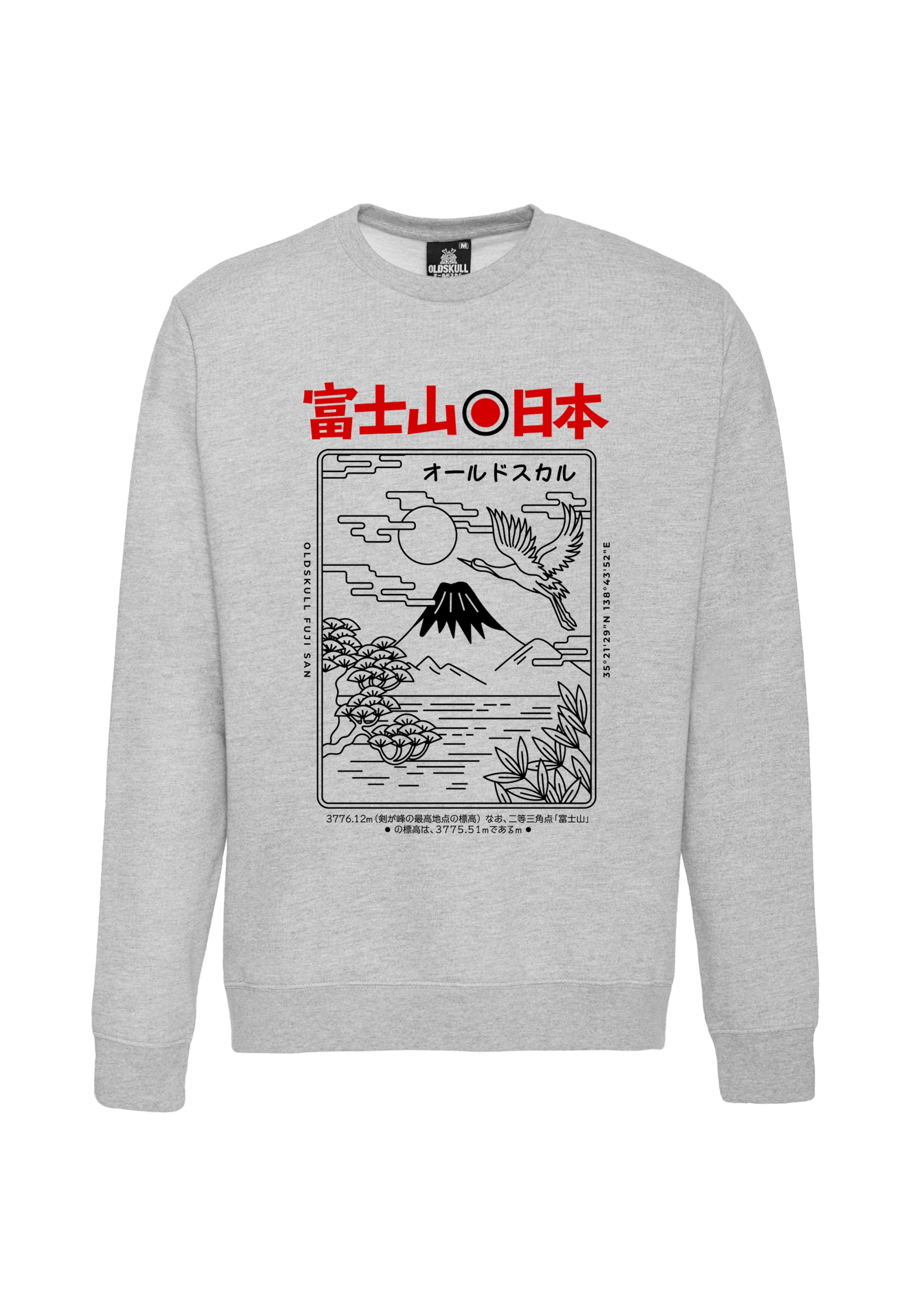 Oldskull Sweatshirt in Grey: front