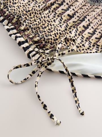 Next Badpak in Bruin