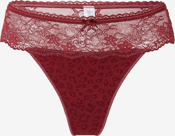 LingaDore - Tanga en rojo: frente