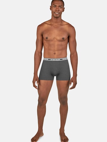 TOM TAILOR Boxer shorts in Grey