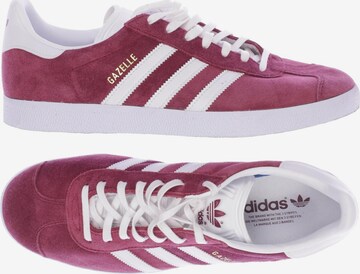 ADIDAS ORIGINALS Sneaker 43,5 in Pink: predná strana