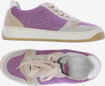 Meline Sneakers & Trainers in 35 in Mixed colors: front