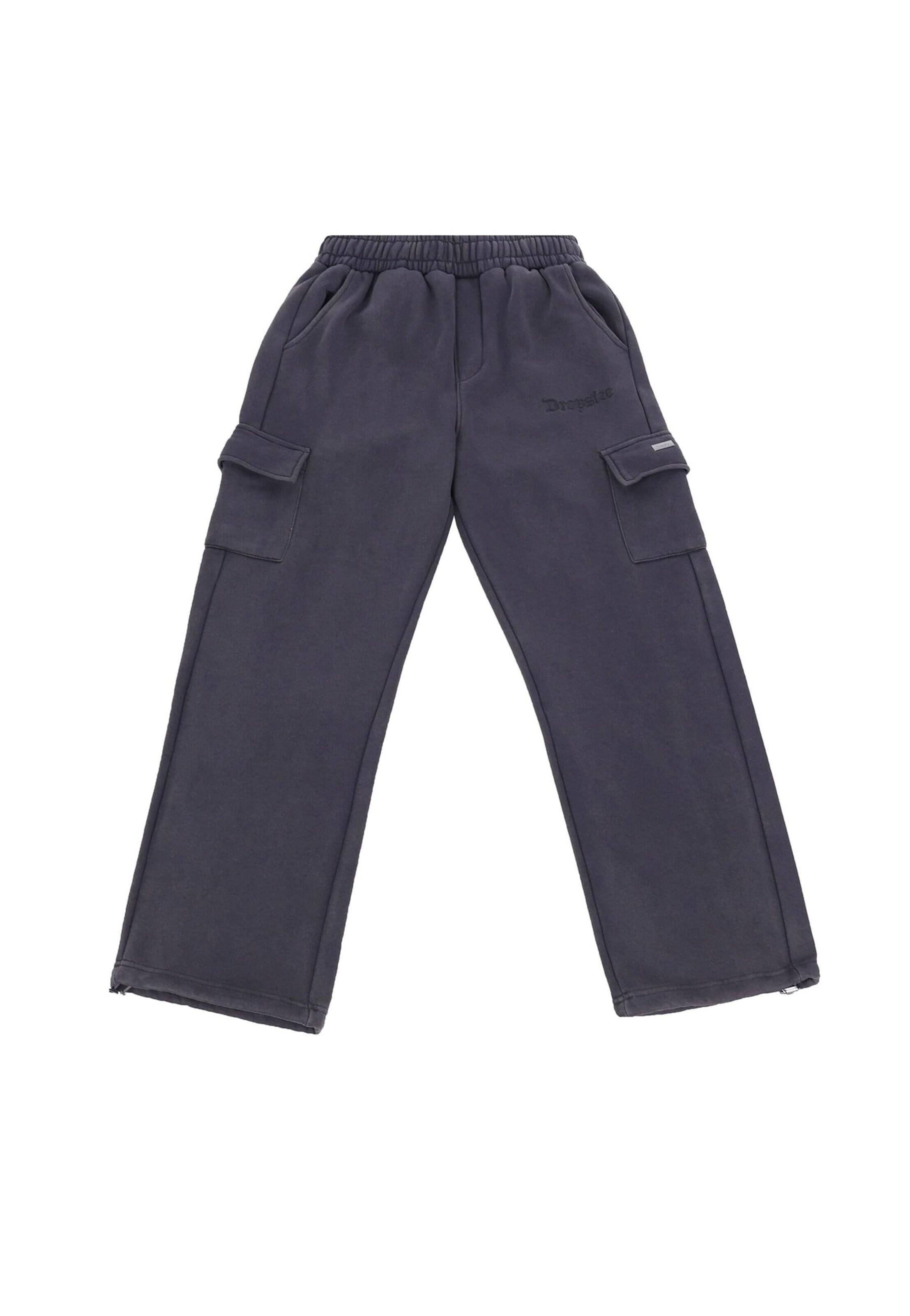 Pantaloni cargo di Dropsize in grigio: frontale