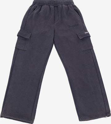 Dropsize Cargo trousers in Grey: front