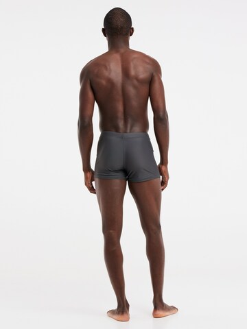 PROTEST Bathing trunks 'CARST' in Blue