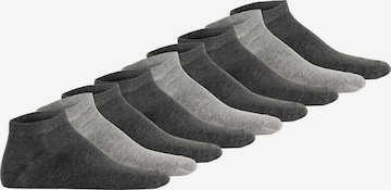 Calzino di Hudson in grigio: frontale