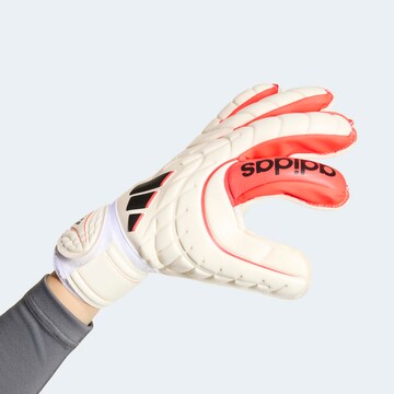 ADIDAS PERFORMANCE Athletic Gloves in White