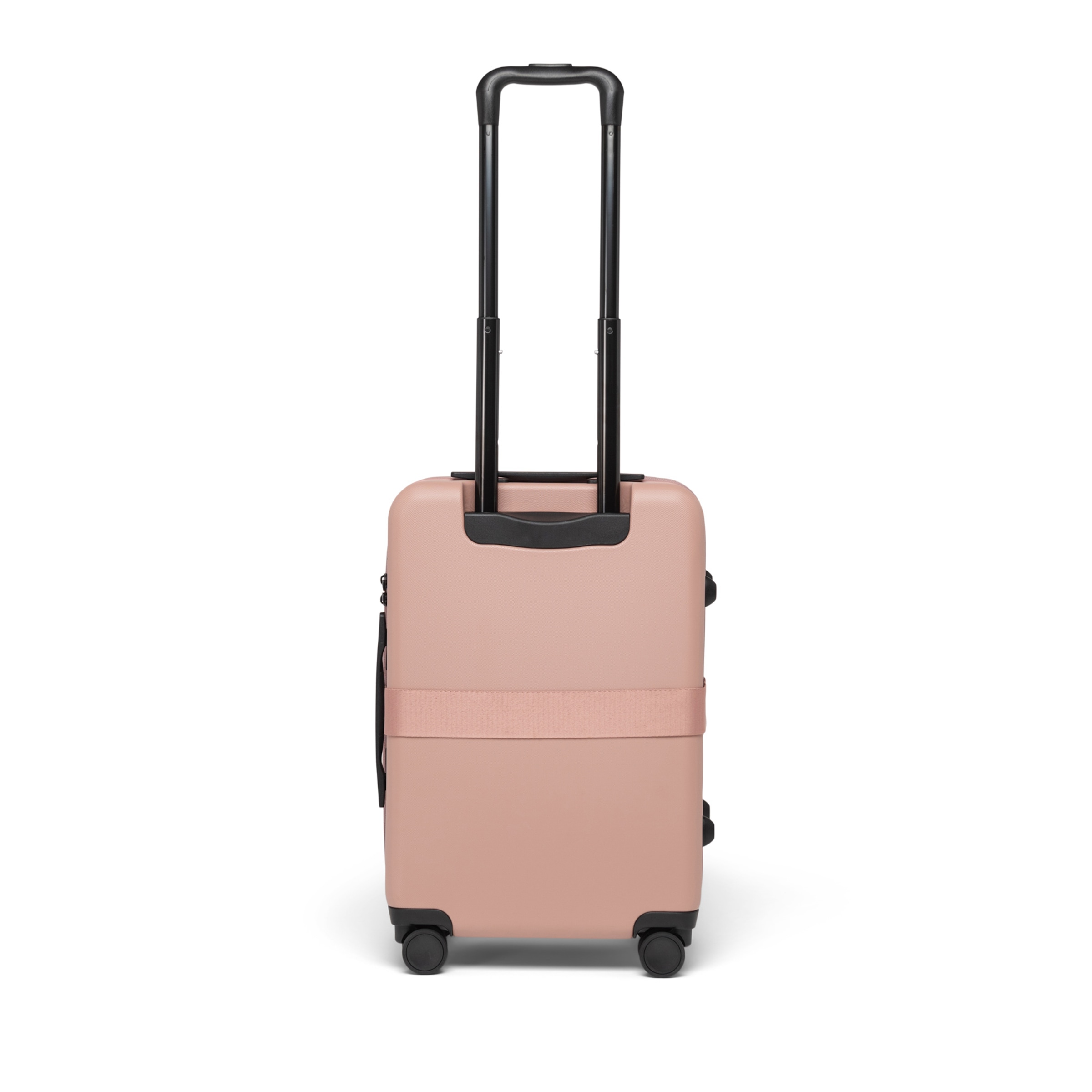 rozā Herschel Koferis 'Heritage'