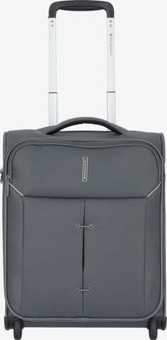 Roncato Cart 'Ironik 2.0' in Grey: front