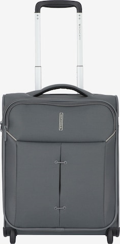 Roncato Trolley 'Ironik 2.0' in Grau: Vorderseite