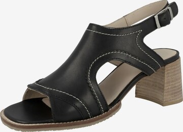 GERRY WEBER Sandals 'Garda' in Black: front