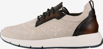Baskets basses 'ECHO' LLOYD en beige : devant