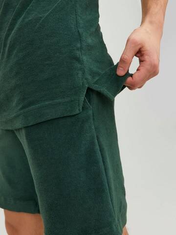 JACK & JONES Shirt 'Terry' in Groen