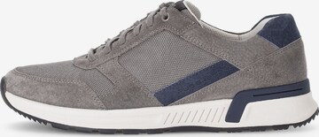 Pius Gabor Sneaker in Grau