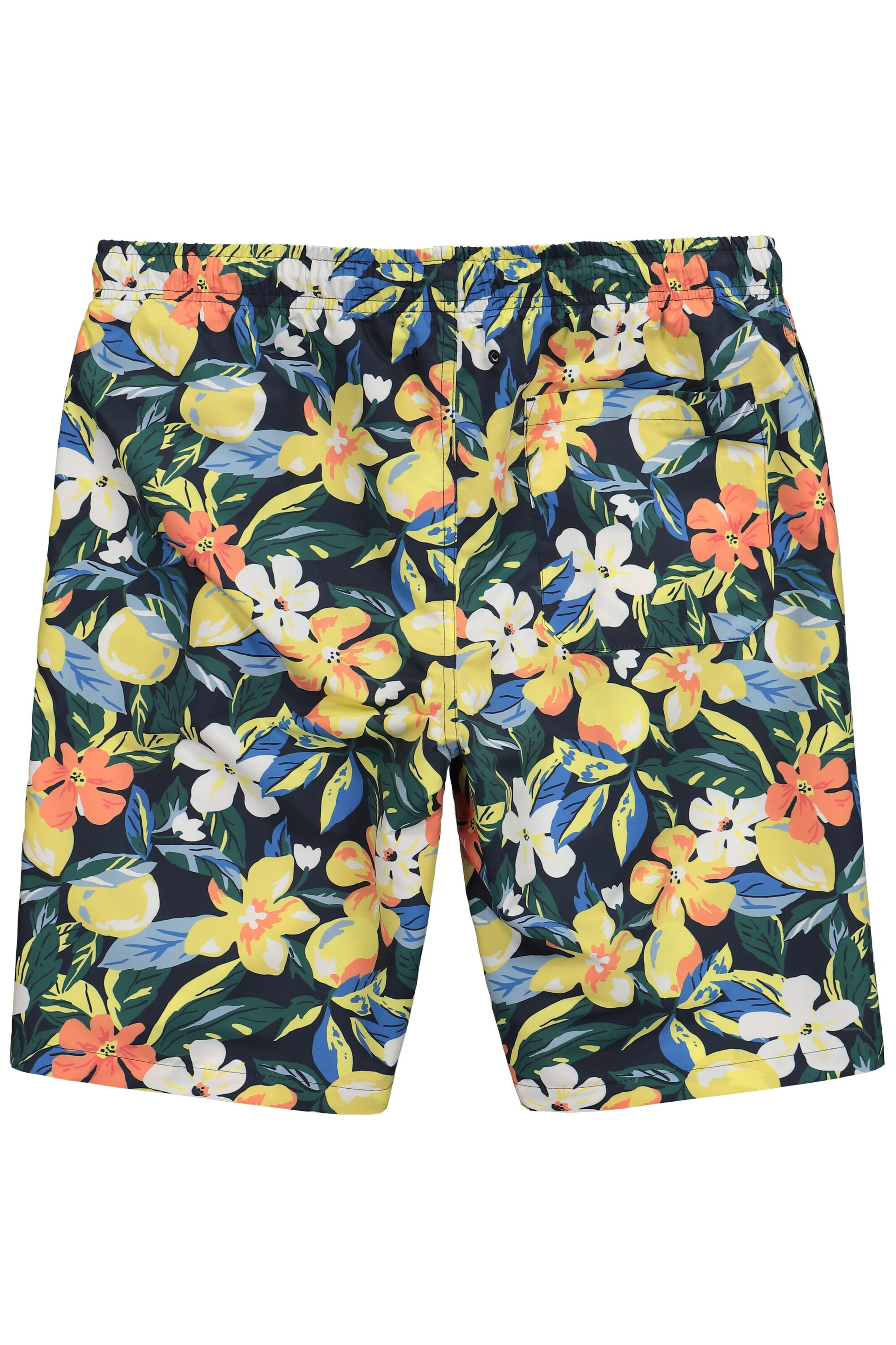 Shorts de bain Men Plus en bleu