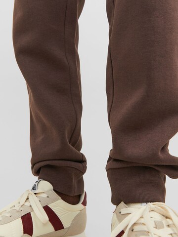JACK & JONES Tapered Trousers 'Gordon Bradley' in Brown