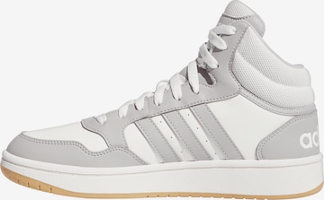 ADIDAS ORIGINALS Sneaker 'Hoops 3.0' in Grau: Vorderseite