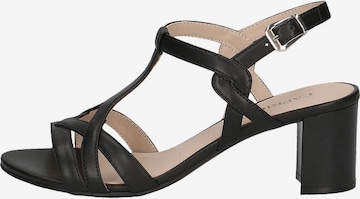 CAPRICE Sandals in Black