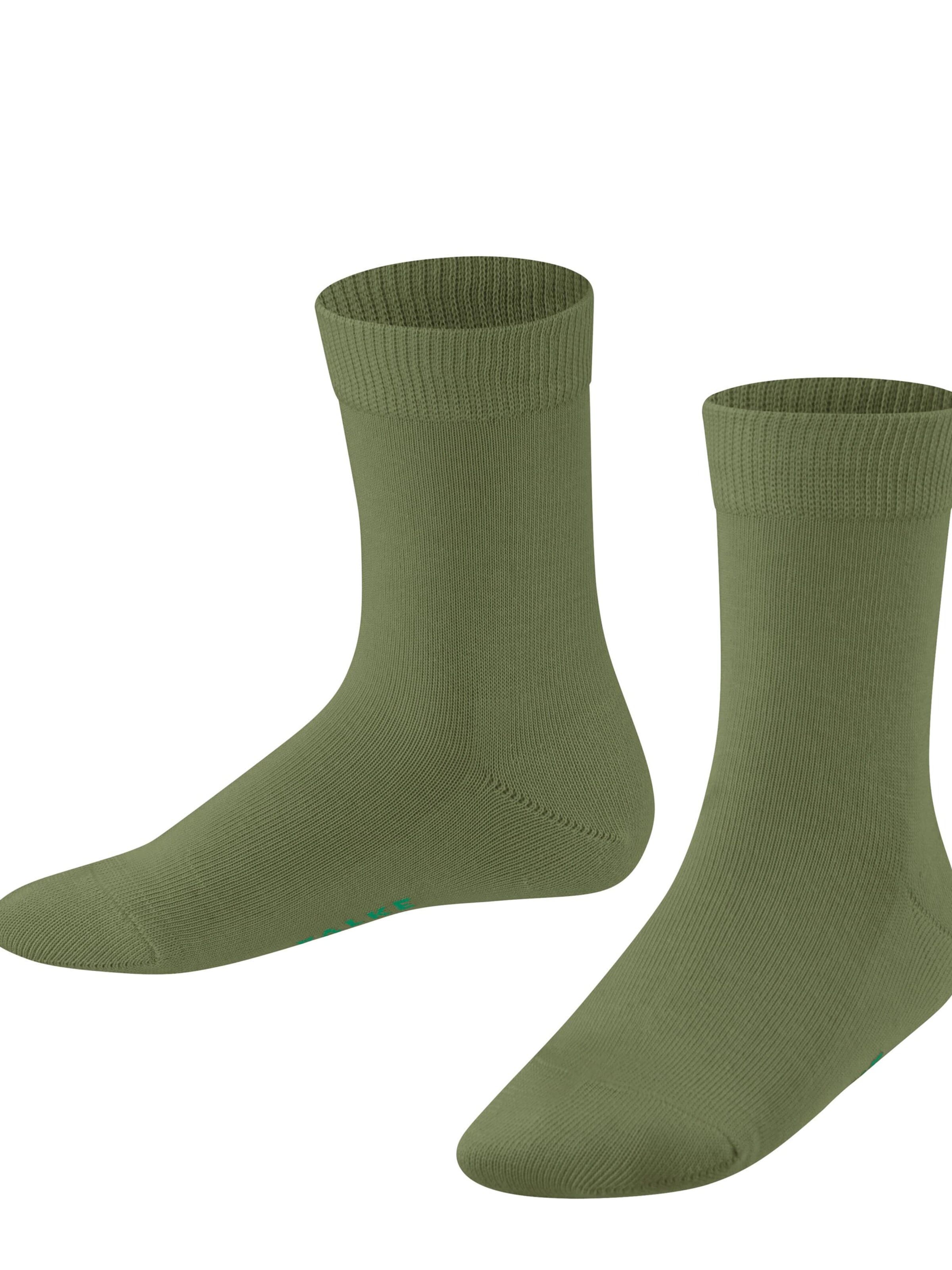 FALKE Socks 'Family' in Green: front