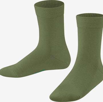 FALKE Socks 'Family' in Green: front