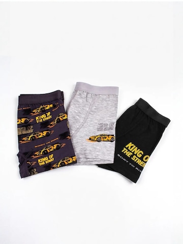 ÖTSGaće 'ÖTS Herren Boxerbriefs' - miks boja boja