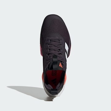 Chaussure de sport 'Rapidmove ADV 2' ADIDAS PERFORMANCE en violet