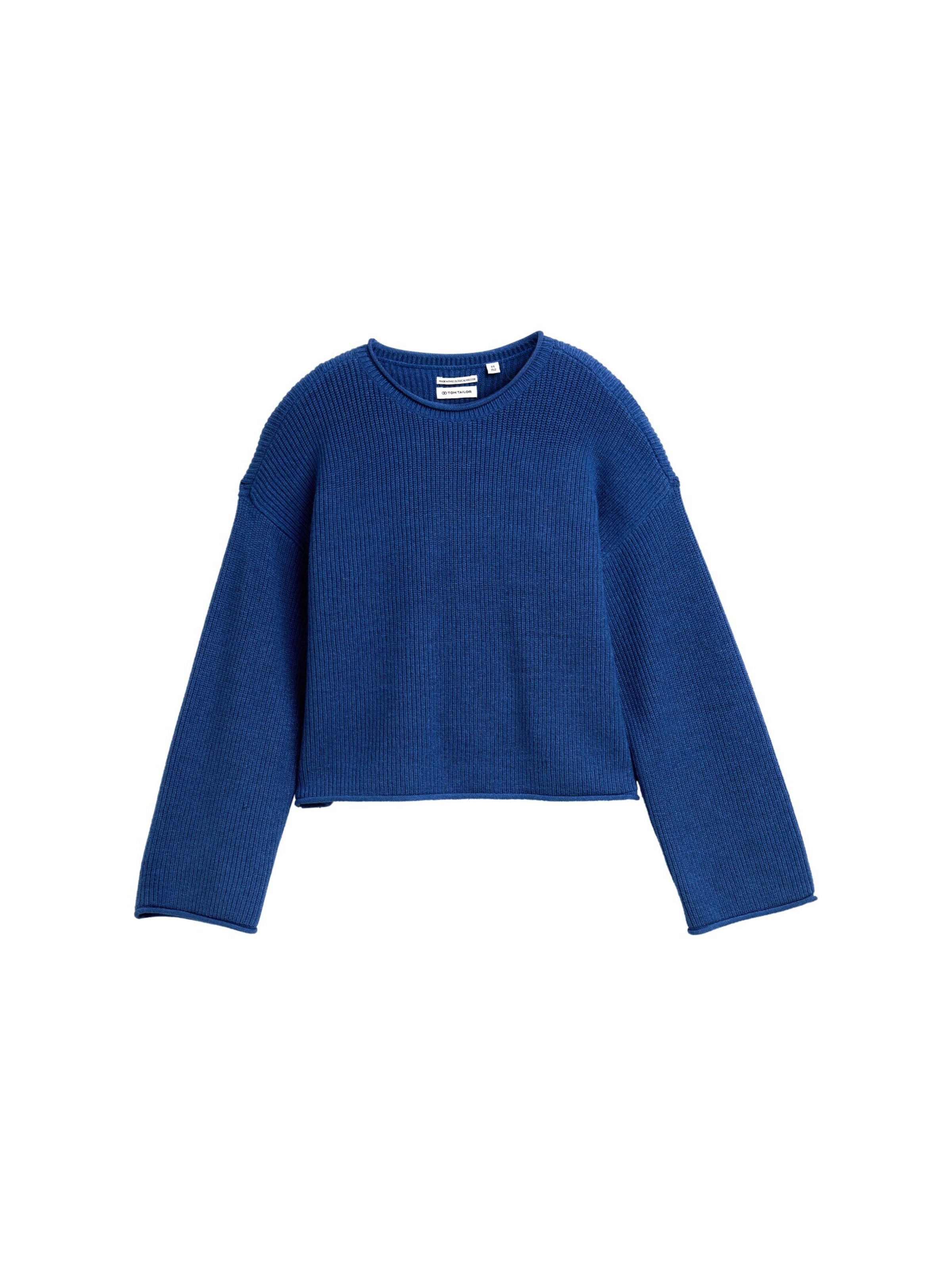 TOM TAILOR Sweater in Blue: front