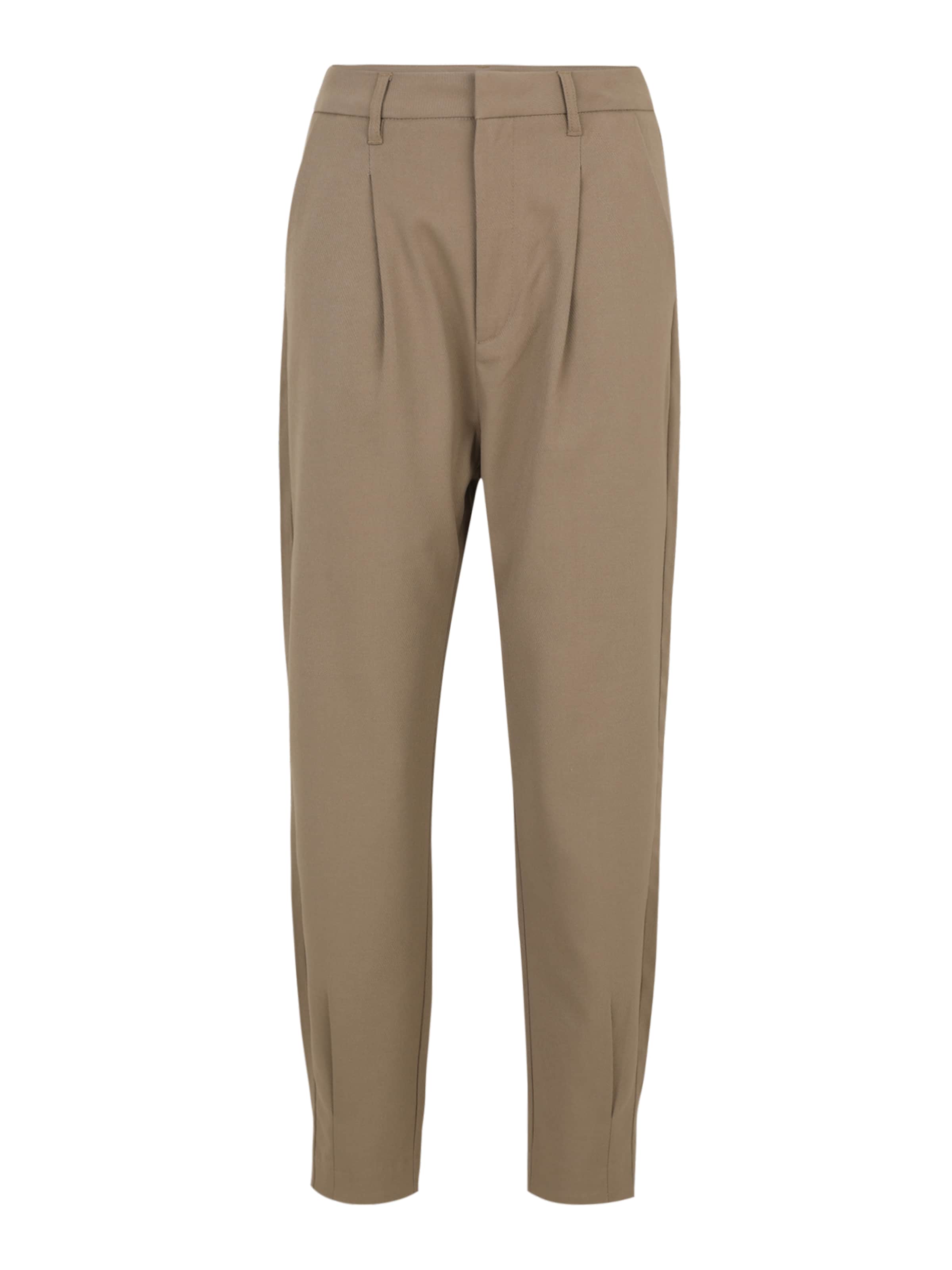 Cph Muse Плиссированные брюки 'TAILOR' в Бежевый: спереди