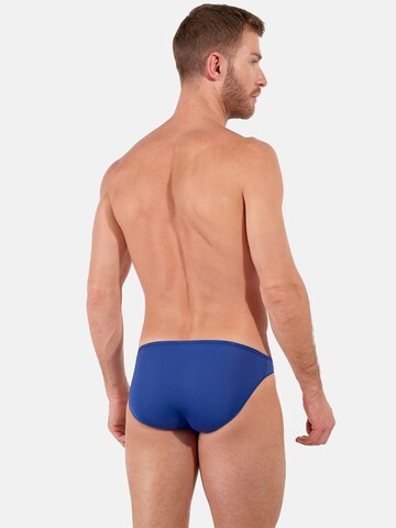 HOM Slip ' Plumes ' in Blue