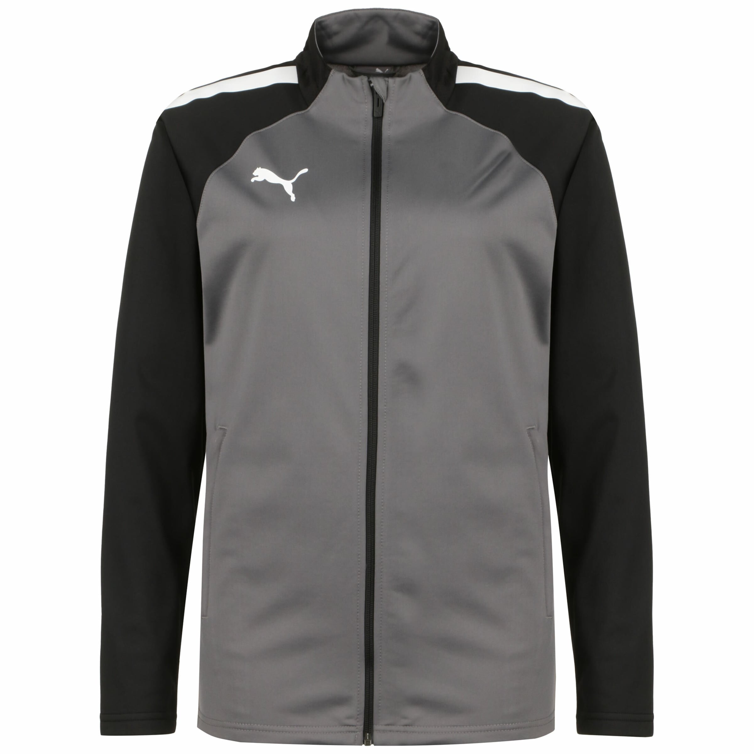 PUMA Sportjacke 'Team Liga' in Grau: Vorderseite