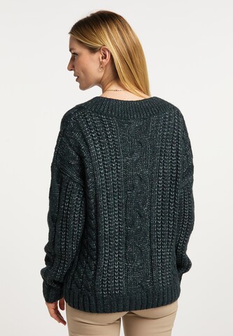 Usha Pullover in Grün