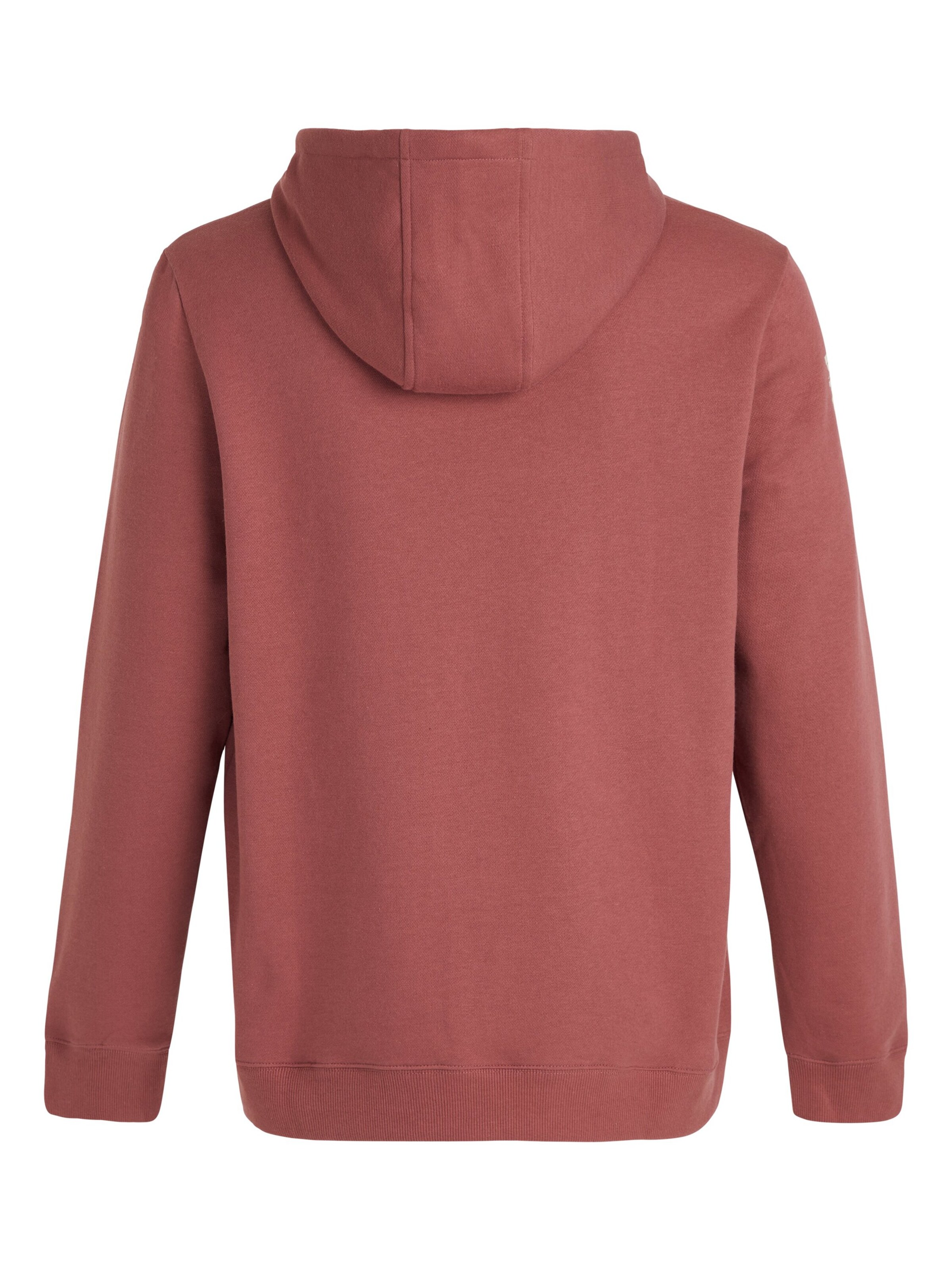 PROTEST Pullover 'CLASSIC LOGO HOODY'‌‌‌ in Rot