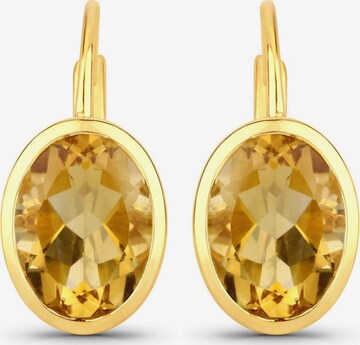 Boucles d'oreilles Rafaela Donata en or : devant