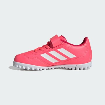 ADIDAS PERFORMANCE - Calzado deportivo 'Youngstar' en rosa
