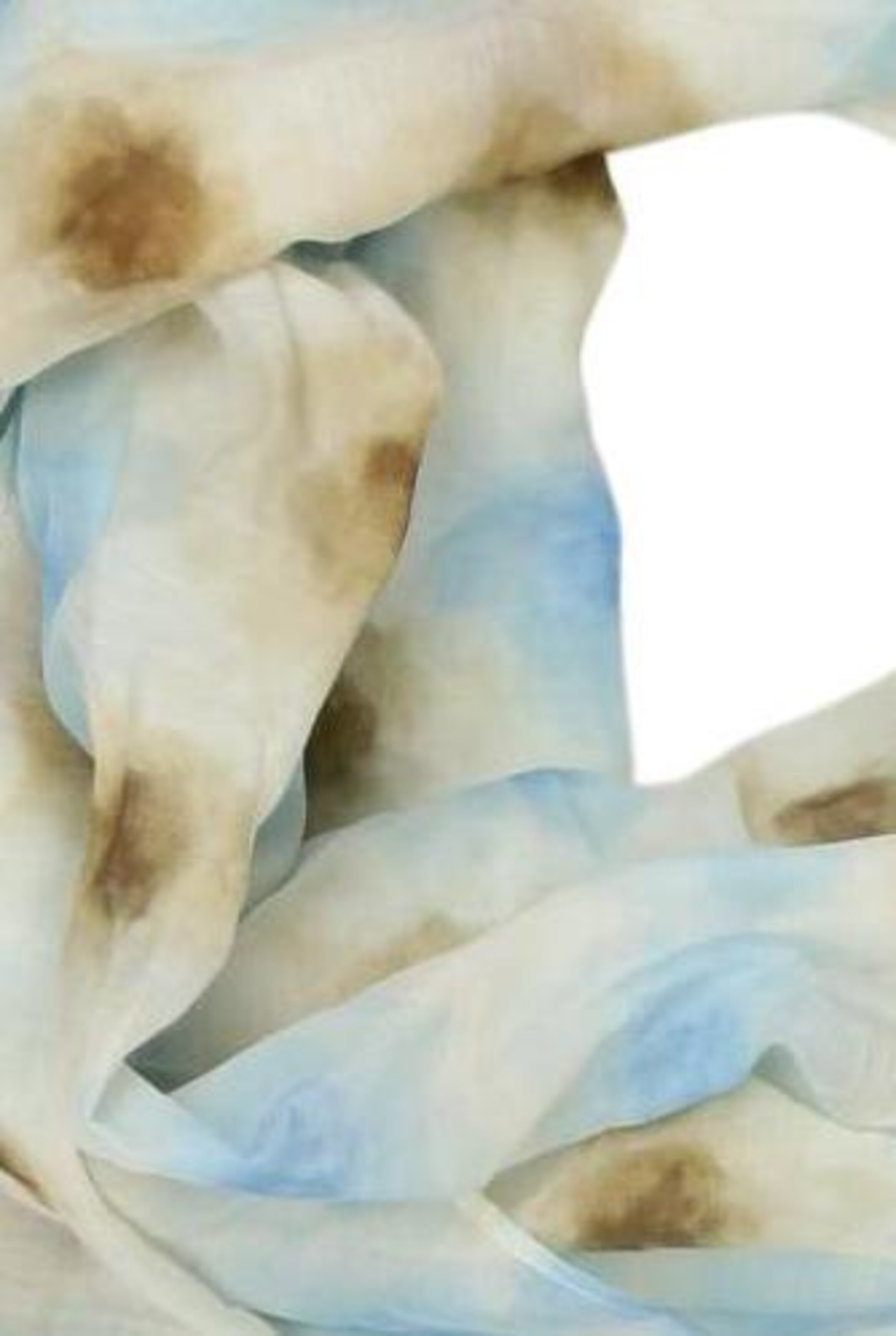 FRAAS Scarf & Wrap in One size in Mixed colors