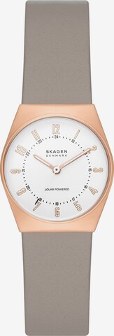 SKAGEN Uhr in Beige: predná strana