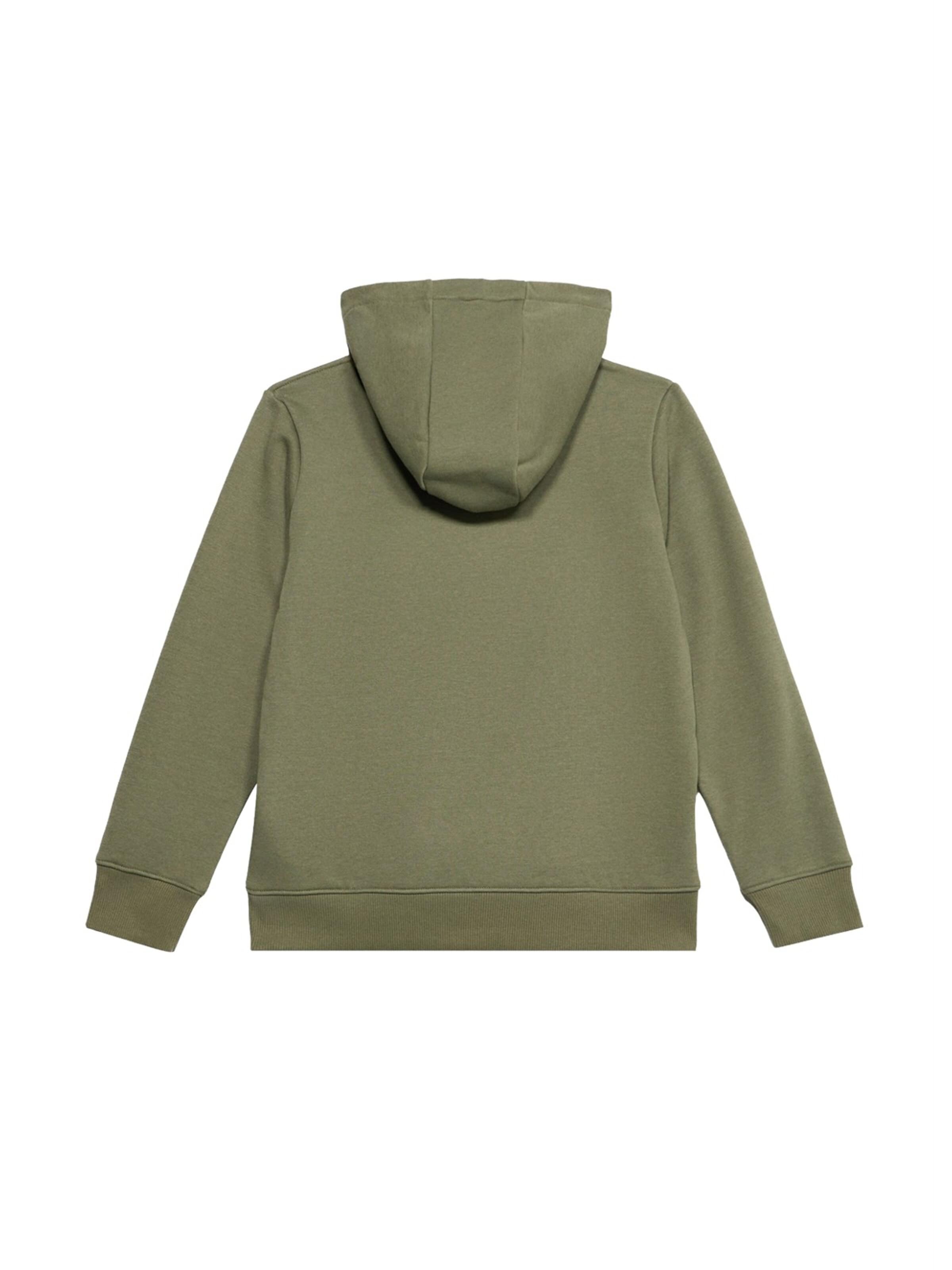 Sweat LACOSTE en vert